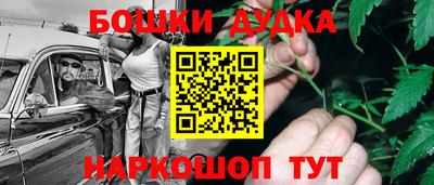 МДПВ Дубна