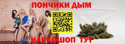 МДПВ Дубна