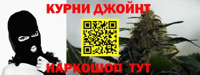 МДПВ Дубна