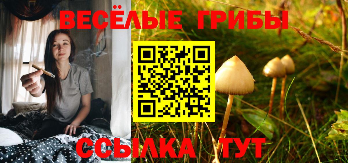 Галлюциногенные грибы Psilocybe  Мелеуз 