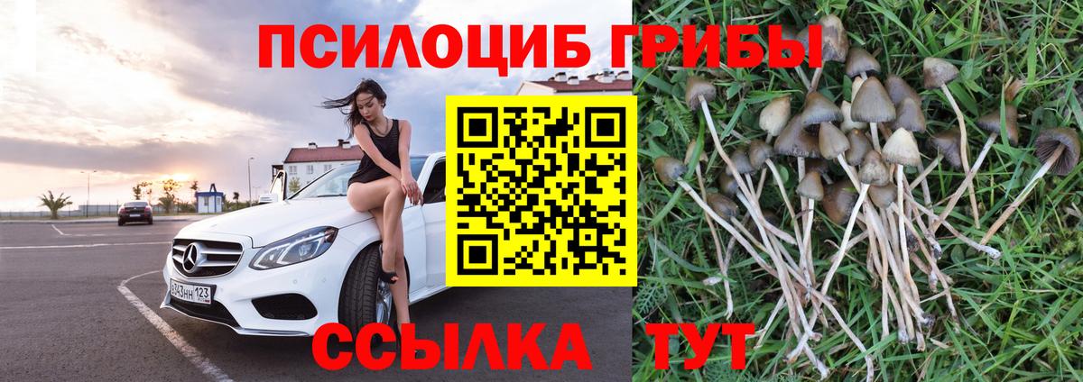 Галлюциногенные грибы Cubensis Мелеуз