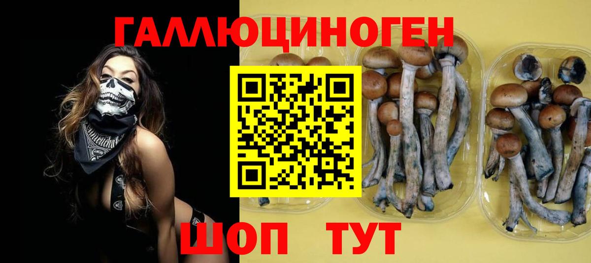 Псилоцибиновые грибы Magic Shrooms Мелеуз