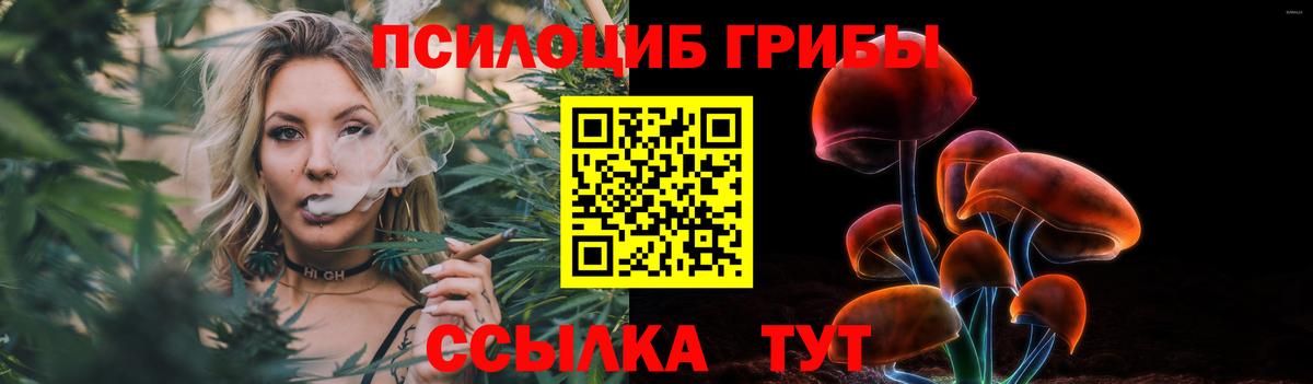 Галлюциногенные грибы Psilocybine cubensis  Псилоцибиновые грибы Cubensis  Вход с VPN  Мелеуз 